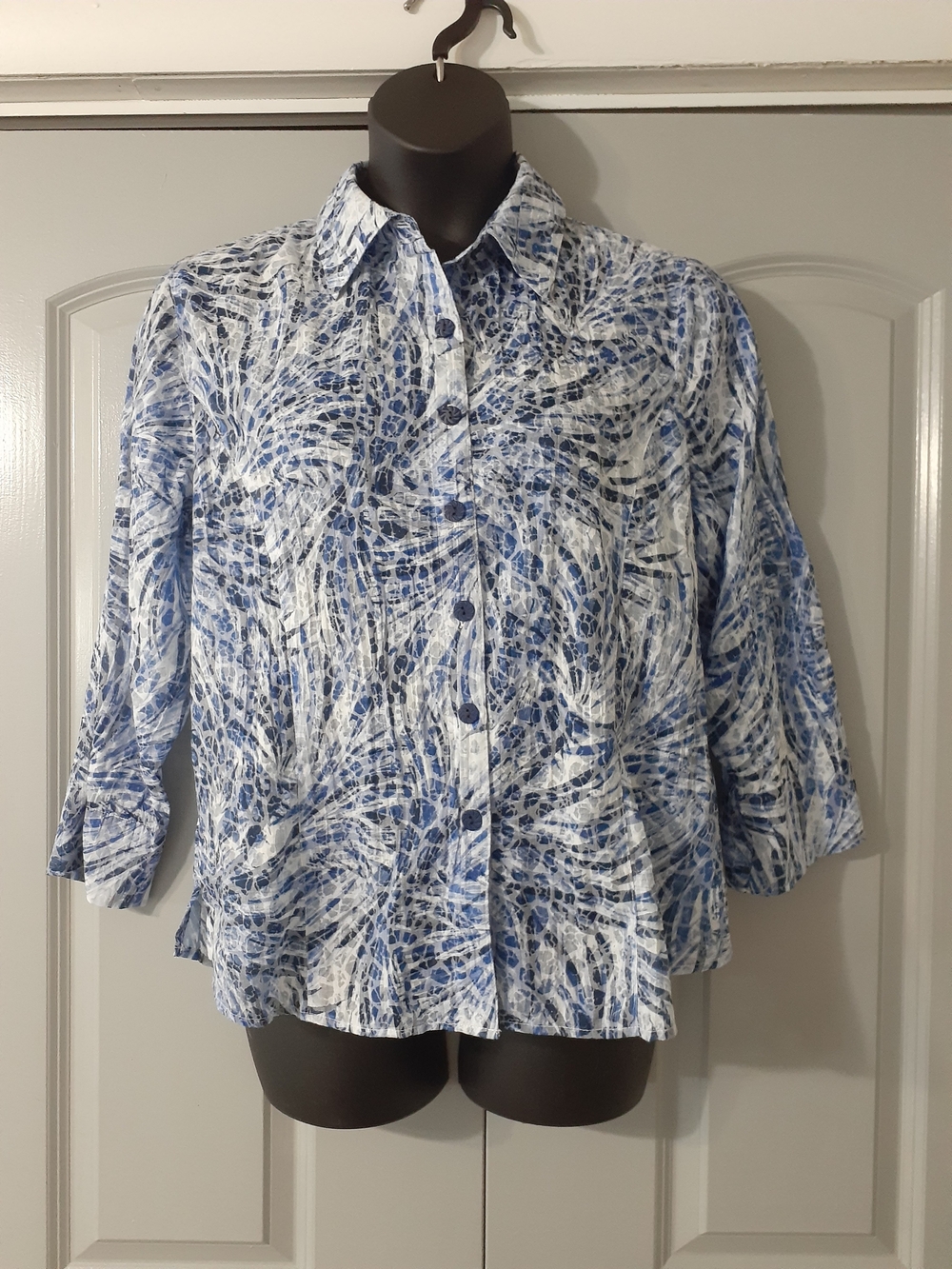 Drapers & Damon's Blue Button Up Top